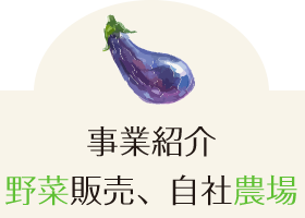 野菜販売、自社農場