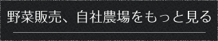 野菜販売、自社農場をもっと見る
